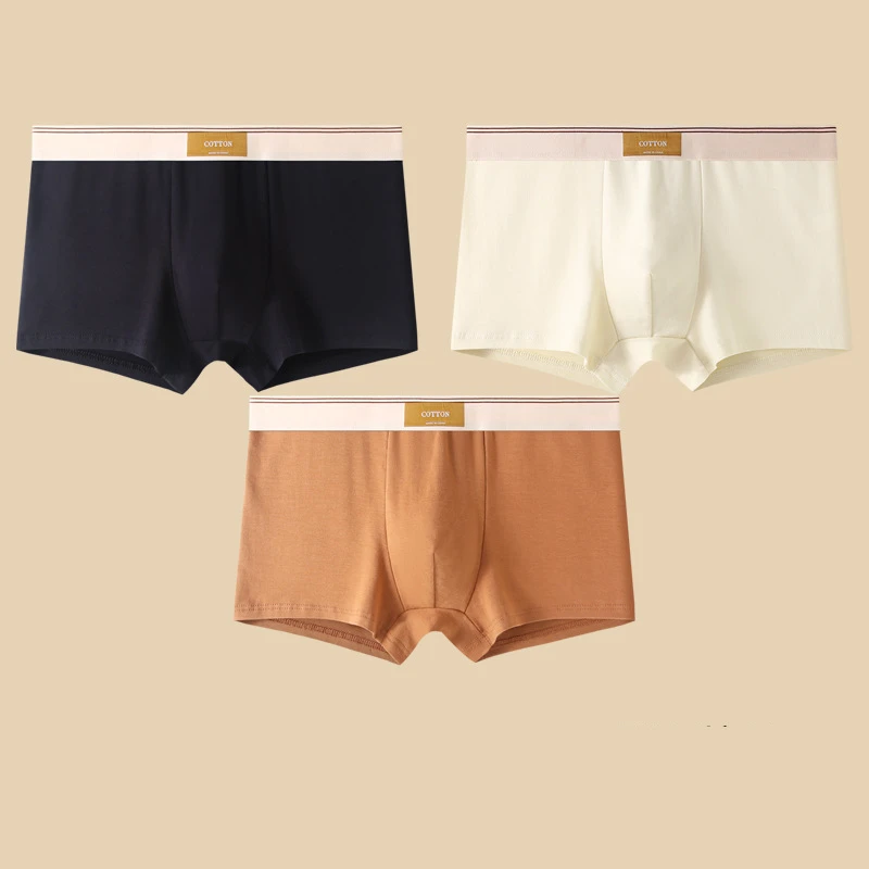 Noah Fitted Boxer Briefs Three-Piece Set | Solid Short Boxer Briefs