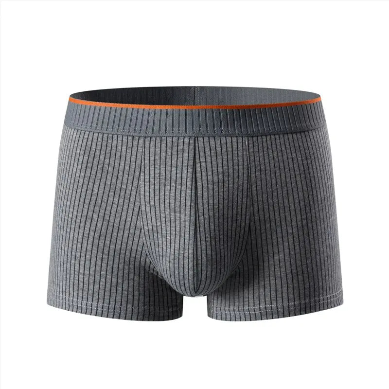 Noah Form-Fitting Striped Boxer Briefs | Ribbed Contrasting Waistband Boxer Briefs