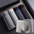 Noah Form-Fitting Striped Boxer Briefs | Ribbed Contrasting Waistband Boxer Briefs